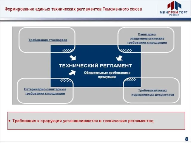 Формирование единых технических регламентов Таможенного союза 8