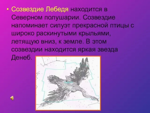 Созвездие Лебедя находится в Северном полушарии. Созвездие напоминает силуэт прекрасной птицы с