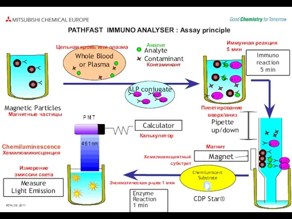 Enzyme Reaction 1 min Immuno reaction 5 min Ｙ Ｙ Measure Light