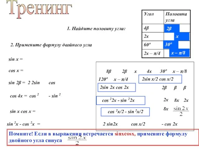 Тренинг 1. Найдите половину угла: 2β х 30º 120º 8β 4х х