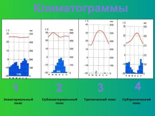 Климатограммы 1 2 3 4 Экваториальный пояс Субэкваториальный пояс Тропический пояс Субтропический пояс