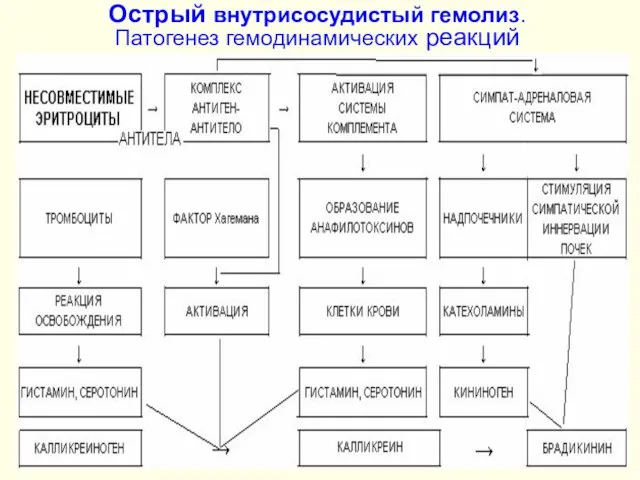 Острый внутрисосудистый гемолиз. Патогенез гемодинамических реакций