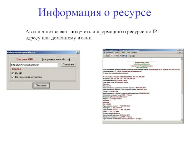 Информация о ресурсе Аваланч позволяет получить информацию о ресурсе по IP-адресу или доменному имени.