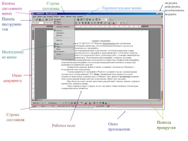 Окно документа Окно приложения Строка заголовка Горизонтальное меню Панель инструмен-тов Кнопка системного