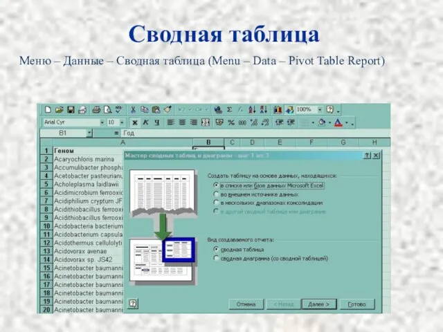 Сводная таблица Меню – Данные – Сводная таблица (Menu – Data – Pivot Table Report)