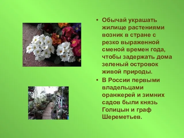 Обычай украшать жилище растениями возник в стране с резко выраженной сменой времен