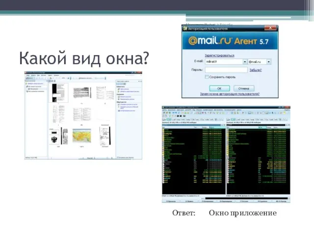 Какой вид окна? Ответ: Окно приложение Милютина И. А. 212-801-764