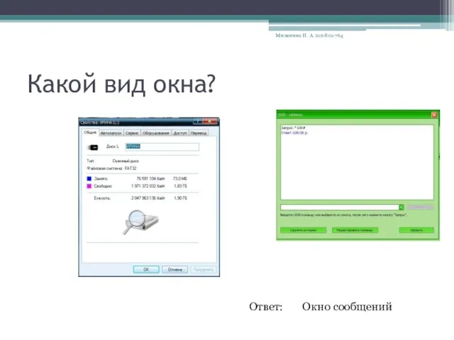 Какой вид окна? Ответ: Окно сообщений Милютина И. А. 212-801-764