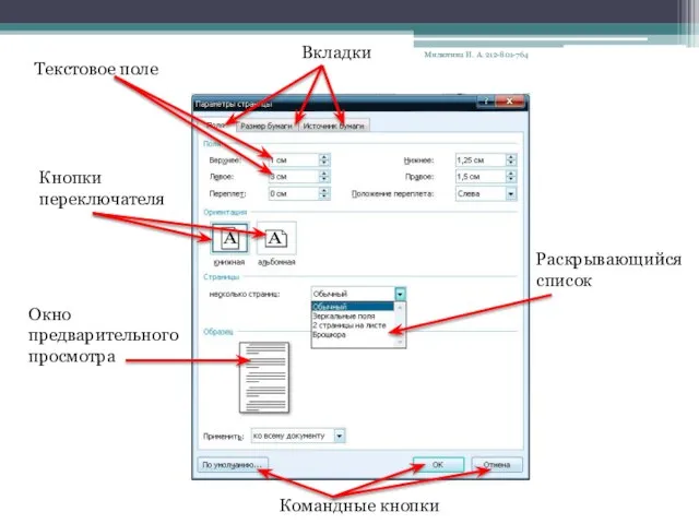 Вкладки Текстовое поле Окно предварительного просмотра Кнопки переключателя Командные кнопки Раскрывающийся список Милютина И. А. 212-801-764