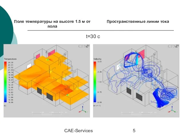 CAE-Services t=30 c