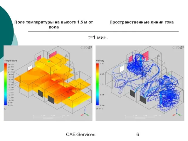 CAE-Services t=1 мин.