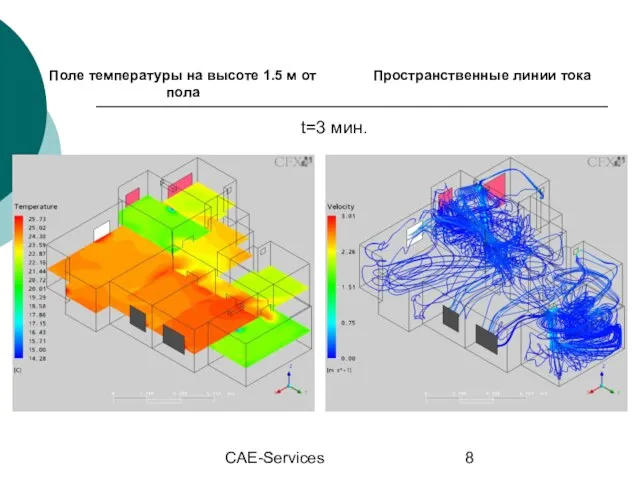 CAE-Services t=3 мин.