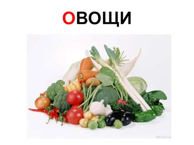 ОВОЩИ