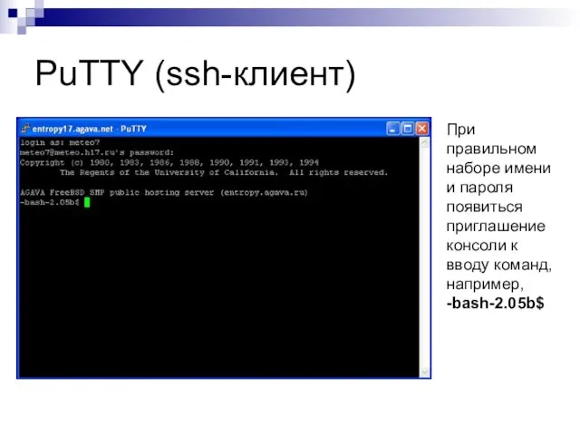 PuTTY (ssh-клиент) При правильном наборе имени и пароля появиться приглашение консоли к вводу команд, например, -bash-2.05b$