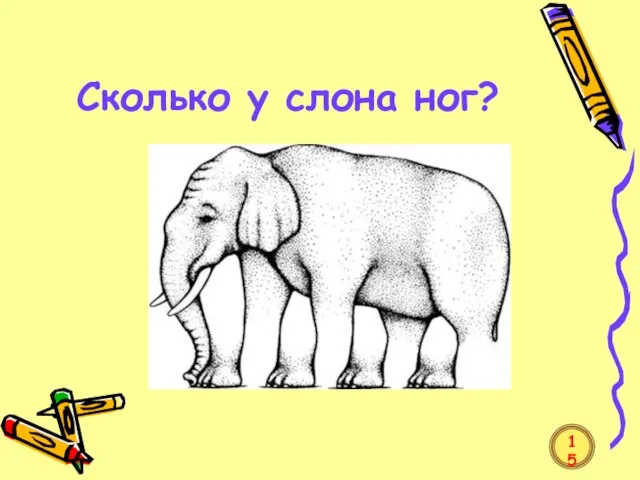 Сколько у слона ног? 15