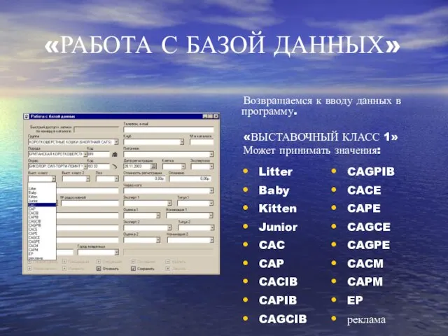 Возвращаемся к вводу данных в программу. «ВЫСТАВОЧНЫЙ КЛАСС 1» Может принимать значения: