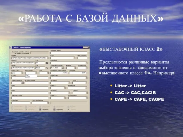 «РАБОТА С БАЗОЙ ДАННЫХ» «ВЫСТАВОЧНЫЙ КЛАСС 2» Предлагаются различные варианты выбора значения