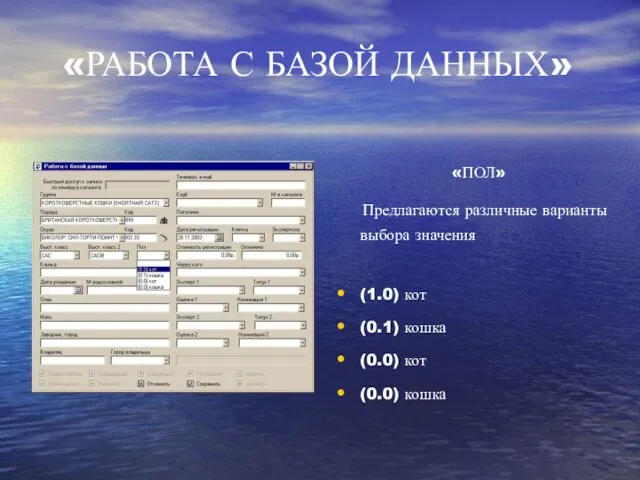 «ПОЛ» Предлагаются различные варианты выбора значения (1.0) кот (0.1) кошка (0.0) кот