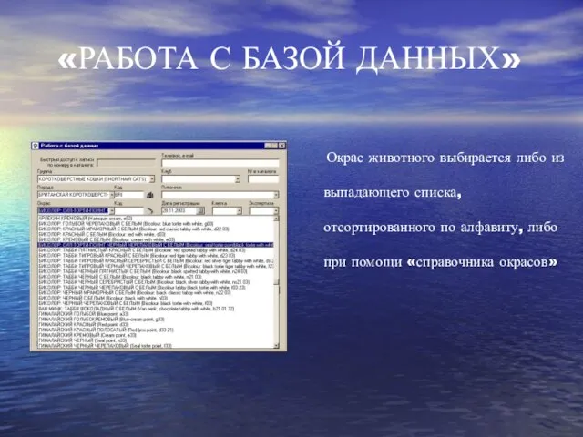 Окрас животного выбирается либо из выпадающего списка, отсортированного по алфавиту, либо при