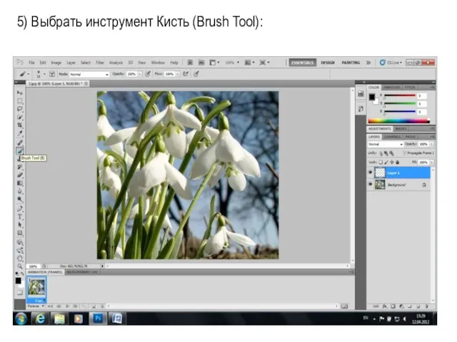 5) Выбрать инструмент Кисть (Brush Tool):