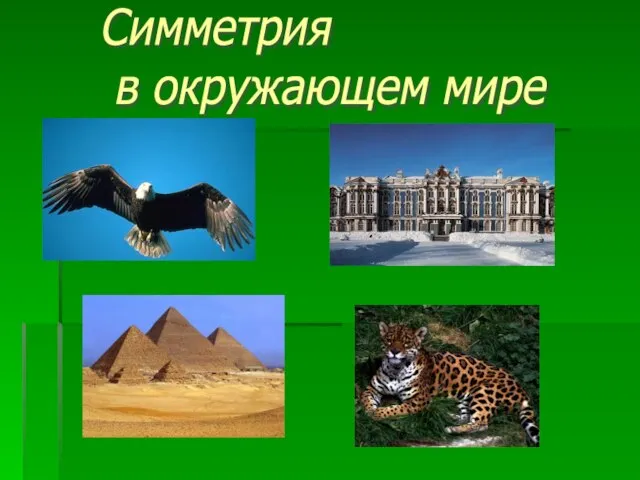 Симметрия в окружающем мире