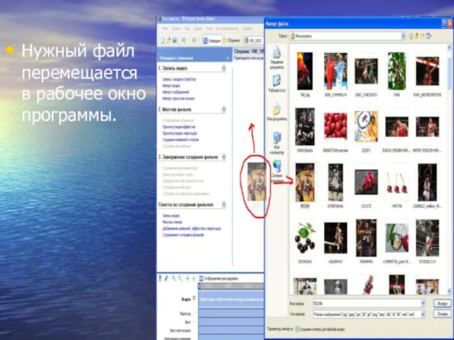 Нужный файл перемещается в рабочее окно программы.