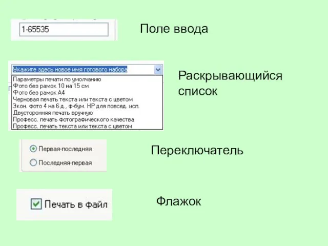 Поле ввода Раскрывающийся список Переключатель Флажок