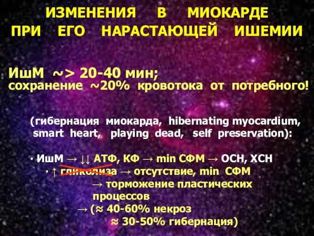 * ИЗМЕНЕНИЯ В МИОКАРДЕ ПРИ ЕГО НАРАСТАЮЩЕЙ ИШЕМИИ ИшМ ~> 20-40 мин;