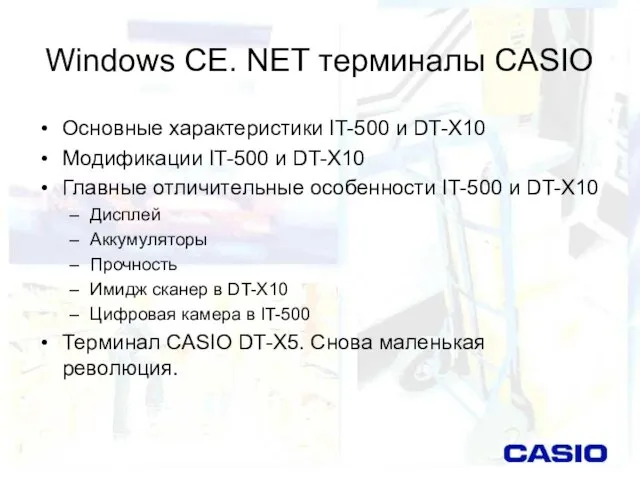 Windows CE. NET терминалы CASIO Основные характеристики IT-500 и DT-X10 Модификации IT-500