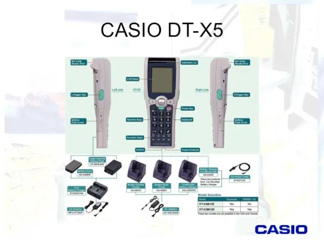 CASIO DT-X5