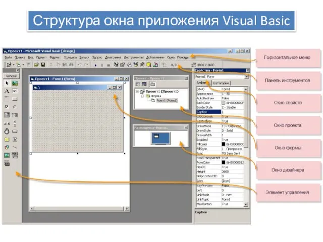 Структура окна приложения Visual Basic