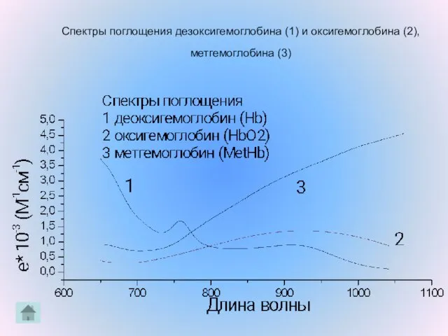 Спектры поглощения дезоксигемоглобина (1) и оксигемоглобина (2), метгемоглобина (3)