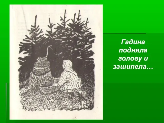 Гадина подняла голову и зашипела…