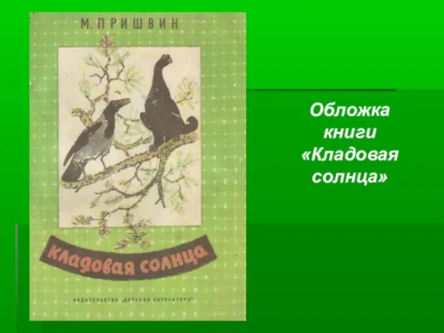 Обложка книги «Кладовая солнца»