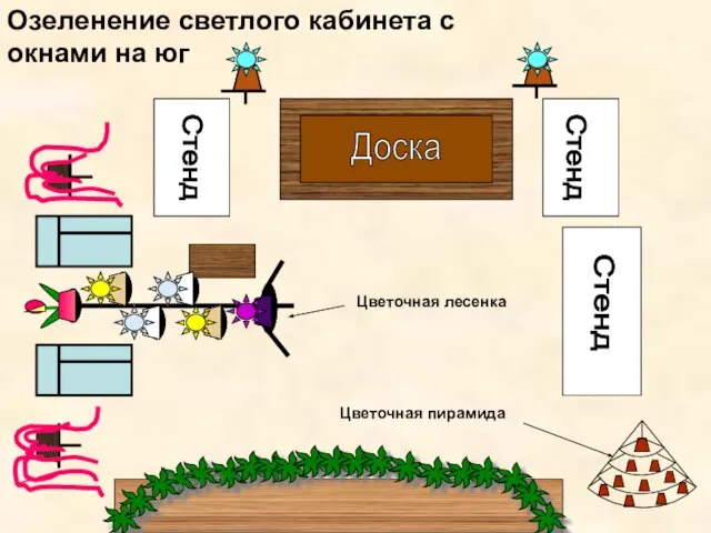 Озеленение светлого кабинета с окнами на юг Стенд Цветочная лесенка Цветочная пирамида