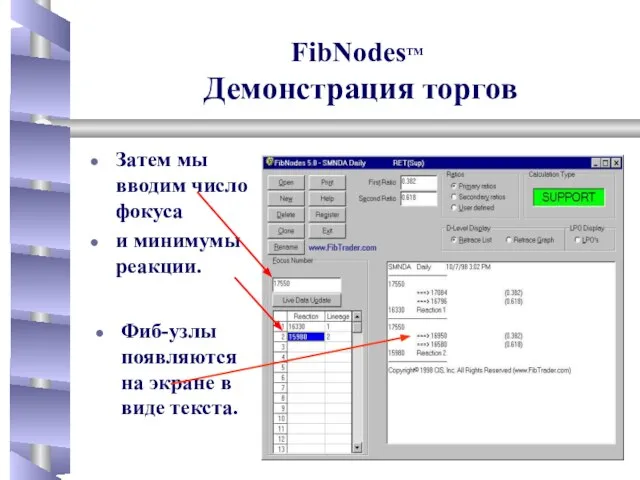 Затем мы вводим число фокуса и минимумы реакции. FibNodesTM Демонстрация торгов Фиб-узлы