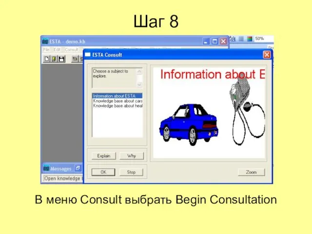 Шаг 8 В меню Consult выбрать Begin Consultation