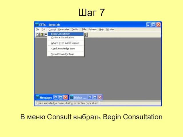 Шаг 7 В меню Consult выбрать Begin Consultation