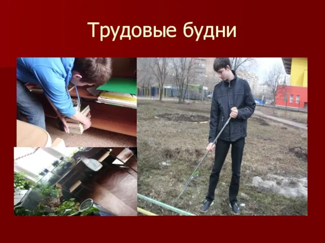 Трудовые будни