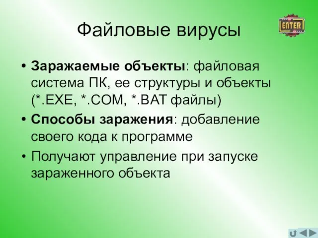 Файловые вирусы Заражаемые объекты: файловая система ПК, ее структуры и объекты (*.EXE,