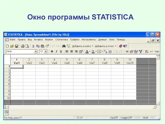 Окно программы STATISTICA