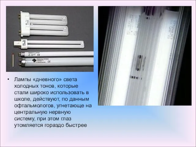 Лампы «дневного» света холодных тонов, которые стали широко использовать в школе, действуют,
