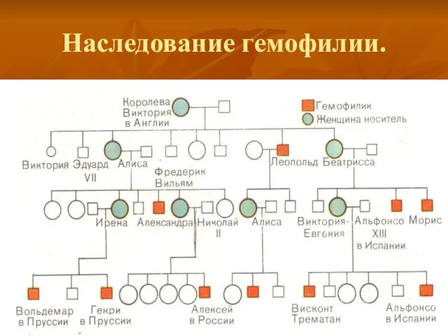 Наследование гемофилии.