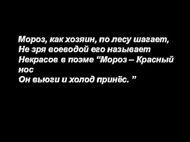 Мороз, как хозяин, по лесу шагает, Не зря воеводой его называет Некрасов