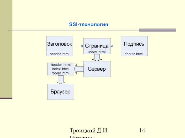 Троицкий Д.И. Интернет-технологии SSI-технология