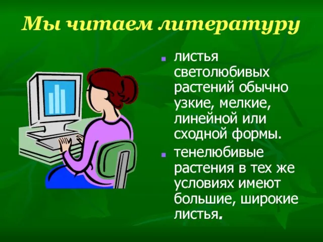 Мы читаем литературу листья светолюбивых растений обычно узкие, мелкие, линейной или сходной