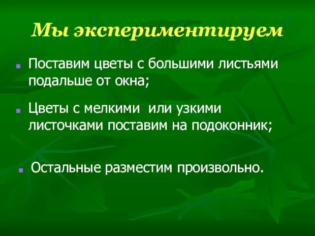 Мы экспериментируем Цветы с мелкими или узкими листочками поставим на подоконник; Остальные