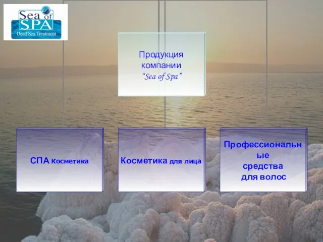 Продукция компании “Sea of Spa”