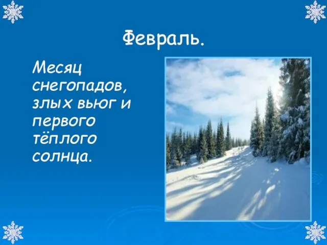 Февраль. Месяц снегопадов, злых вьюг и первого тёплого солнца.