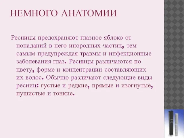 НЕМНОГО АНАТОМИИ Ресницы предохраняют глазное яблоко от попаданий в него инородных частиц,